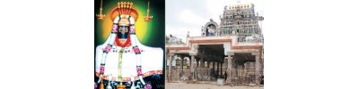 232. திருப்பாதிரிப் புலியூர்